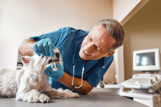 Best Emergency Tooth Extraction in New Providence, NJ